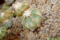 Image_20